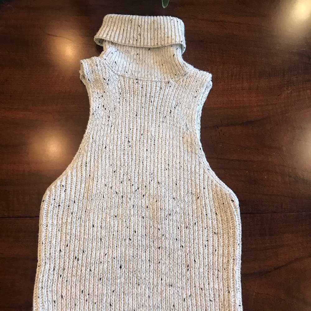 EDITORIAL TURTLENECK DRESS